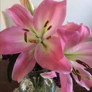 Meet your Posher, Staci